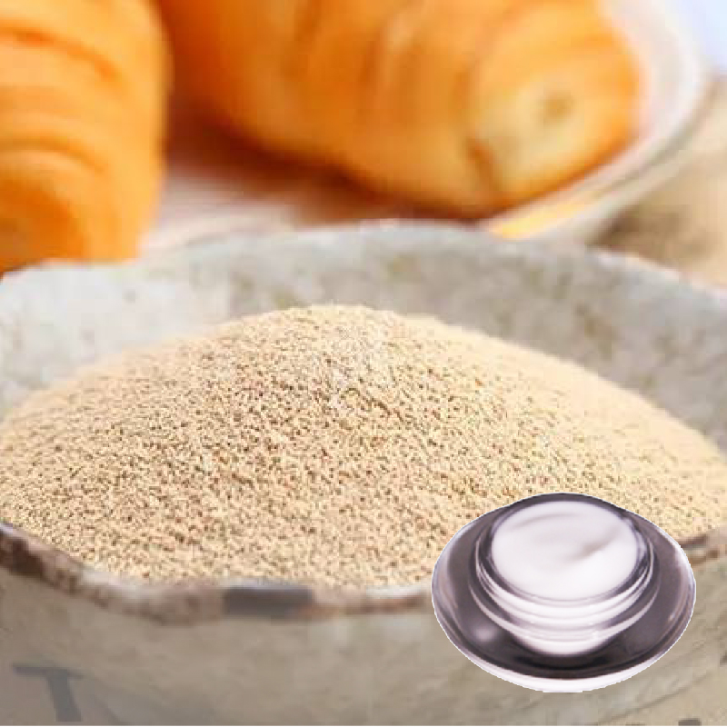 日本活酵母精華霜(沙龍級)